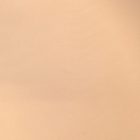 肌色（ガレージテント　フライシート）